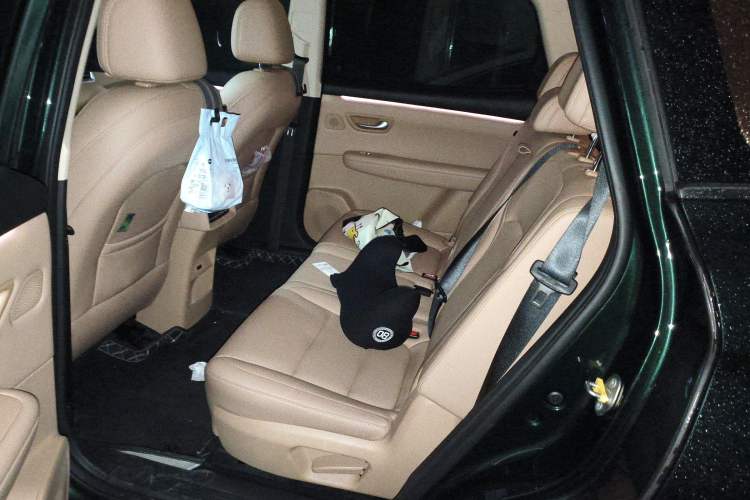 Used Landian E5 PLUS 2025 165 km Long-Range Version PLUS 7-Seater
