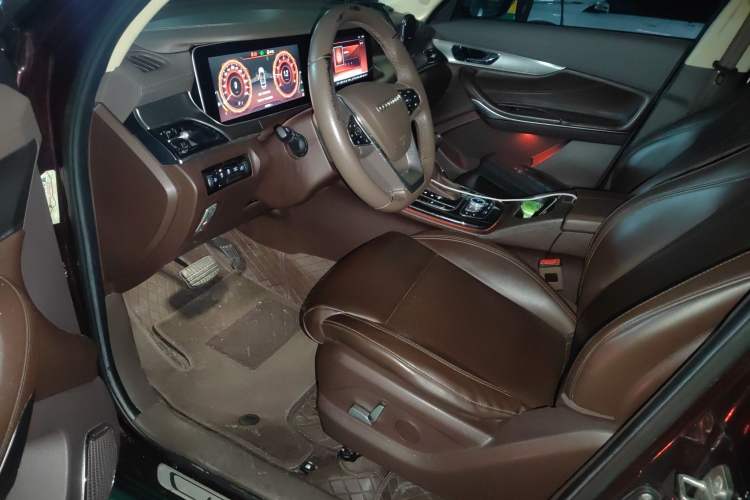 Used Leopaard Mattu 2018 1.6T GDI DCT Luxury Model
