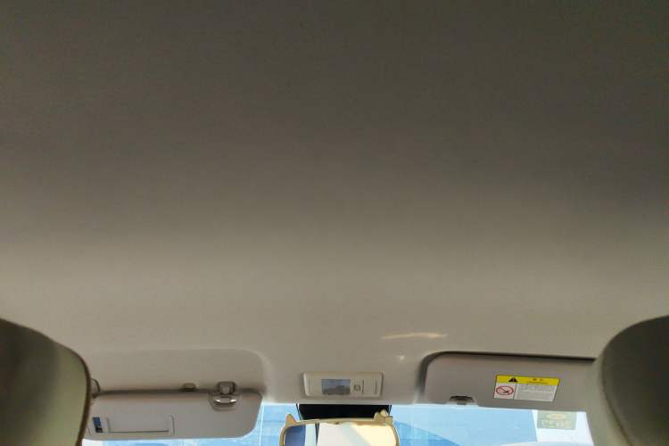 Used Qiyuan Lumin 2023 205km Xiangqin Version
