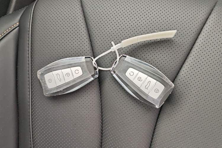 Used Geely Auto Monjaro L 2024 2.0TD DCT EVO Two-Wheel Drive Long-Range Version Vehicle Key