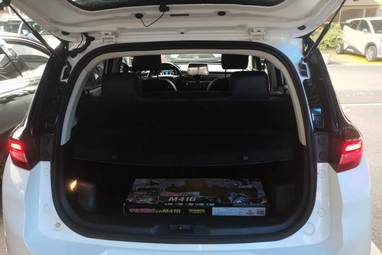 Used Dayun Yuehu 2021 32.85 kWh Two-Wheel-Drive Sprite Version
