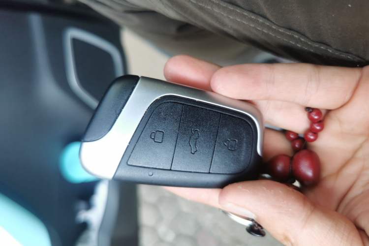 Used Chery New Energy Little Ant 2021 200 000-Yuan Ant Fan Edition Oxygen Version Lithium-Ion Battery 301 km