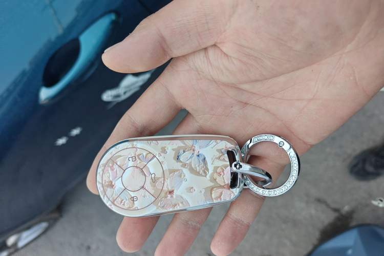 Used ORA Good Cat 2023 401 km Standard Range Luxury Version Ternary Lithium Vehicle Key