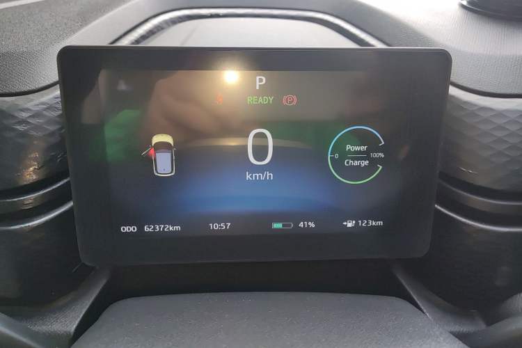 Used SOL E10X 2022 Flower Fairy Design Four-Leaf Clover
