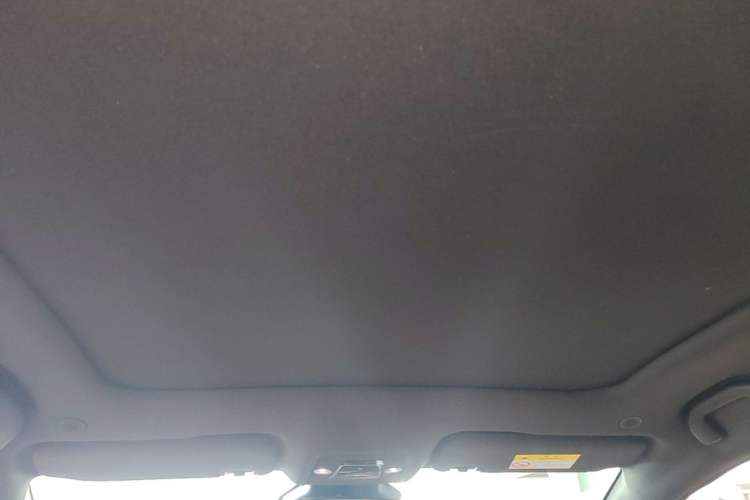 Used BYD Dolphin 2021 401km Knight Edition Headliner