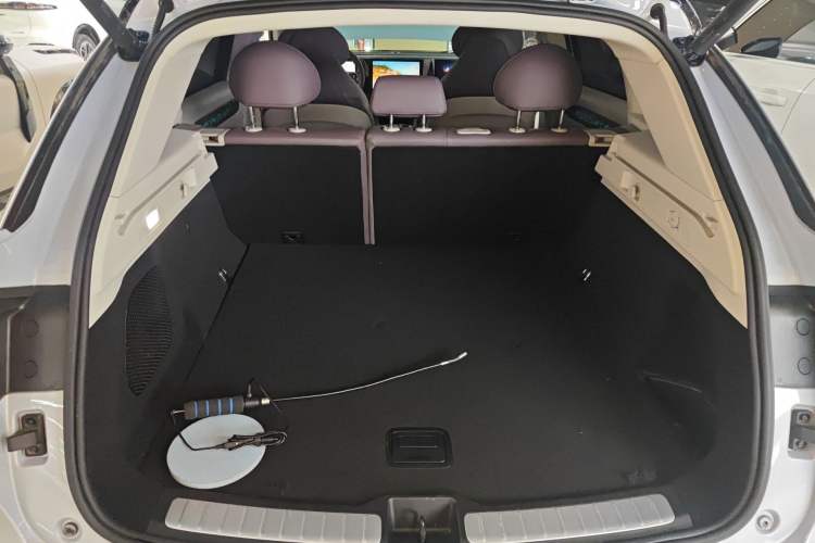 Used Leapmotor C11 2021 Zhixing Edition 510
