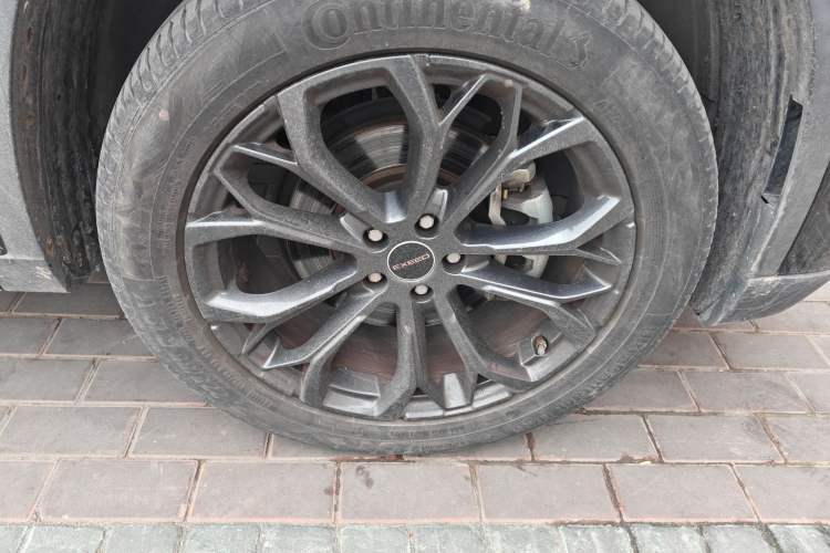 Used EXEED TX 2020 1.6T Two-Wheel Drive Star Edition