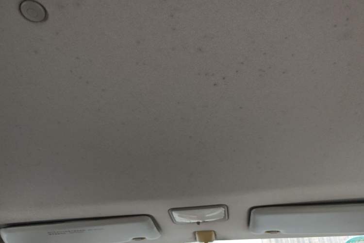 Used FORTHING Lingzhi 2014 M3 1.6L 7-Seater Comfort Model