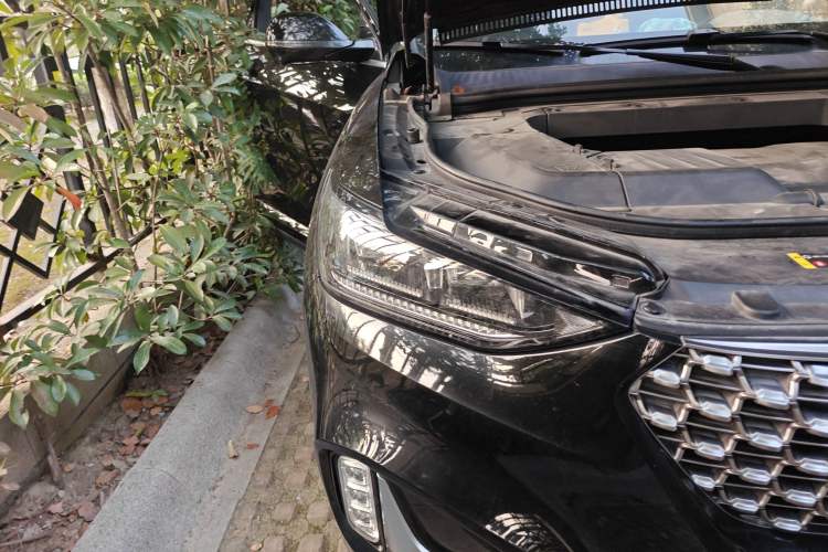 Used Wey VV6 2020 2.0T Two-Wheel Drive Smart Protection+