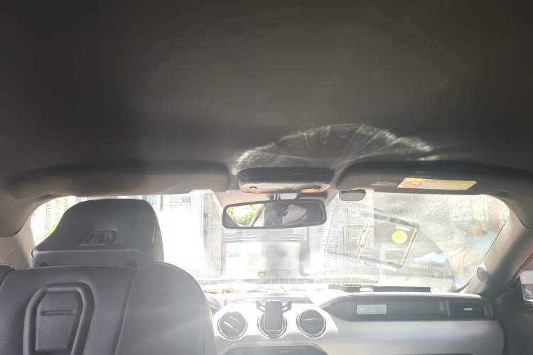 Used Ford Mustang 2016 2.3T Performance Edition Headliner