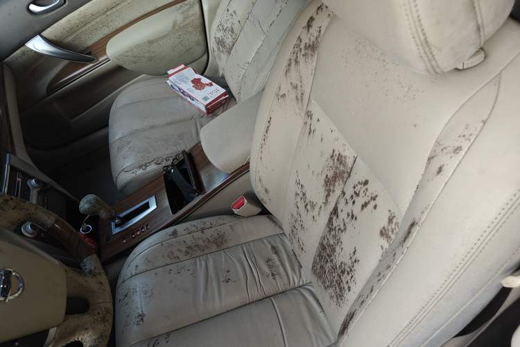 Used Nissan Teana 2011 2.0L XL Glory Edition
