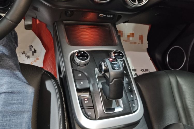 Used Tank 300 2021 Off-Road Edition 2.0T Conqueror Gear Lever