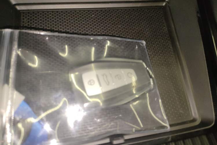 Used Geely Auto Monjaro L 2024 2.0TD DCT EVO Two-Wheel Drive Long-Range Version