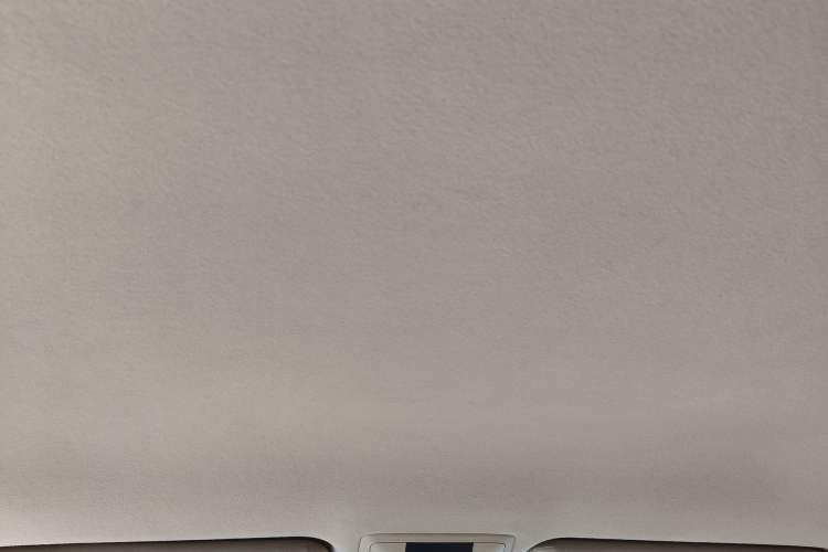 Used Toyota Prado  Headliner