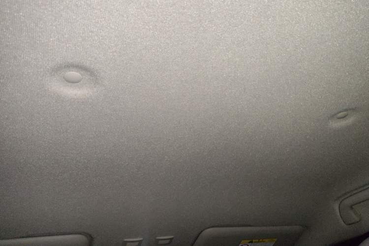 Used ORA White Cat 2020 360 km Luxury Version Headliner