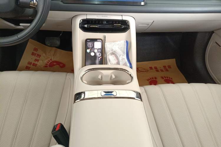 Used AION RT 2025 650 LiDAR Edition Gear Lever