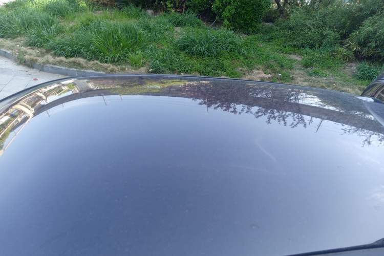 Used ORA Black Cat 2021 351 km Luxury Version