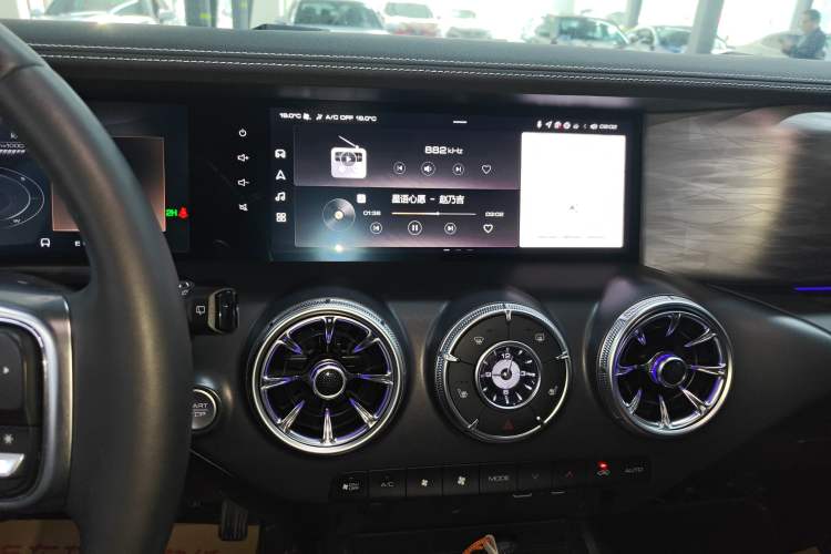 Used Tank 300 2024 2.0T Conqueror
