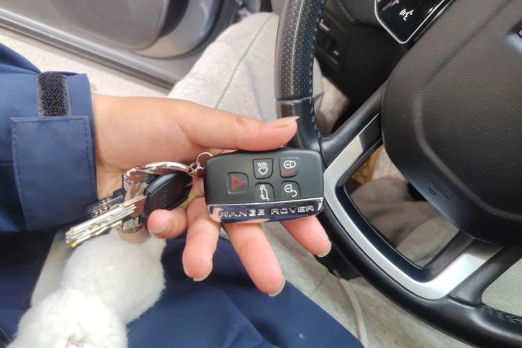 Used Land Rover Range Velar 2017 P250 S
