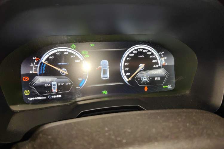 Used Wey P8 2018 2.0T Flagship Model