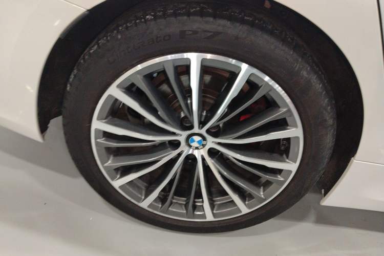 Used BMW 3 Series 2020 325Li First Edition
