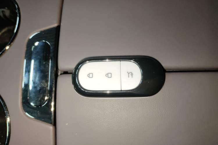 Used Leapmotor C11 2023 Pure Electric 500 Smart Edition