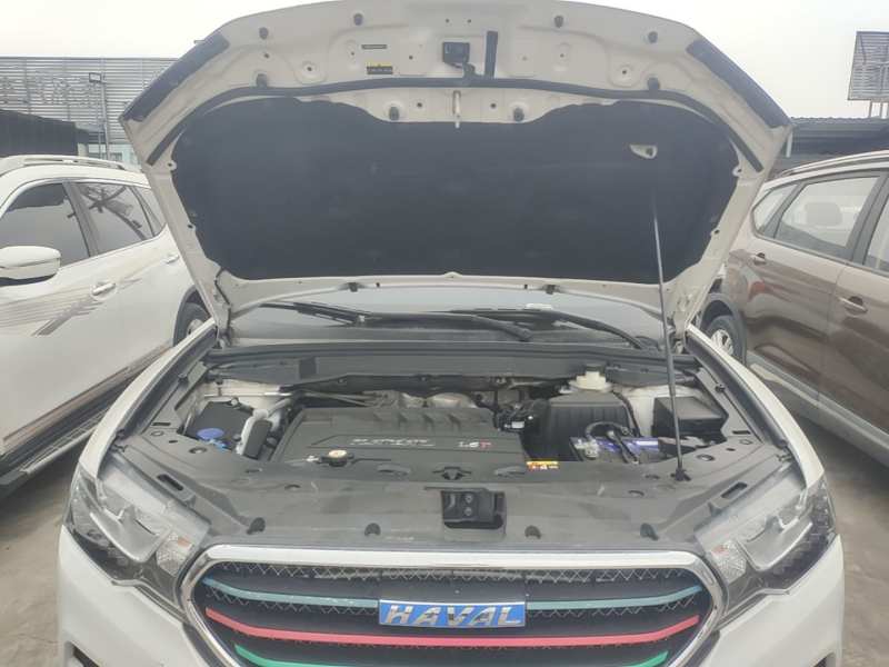 Used Haval H6 Coupe 2016 Blue Label 1.5T Automatic Two-Wheel Drive Elite Model — 19