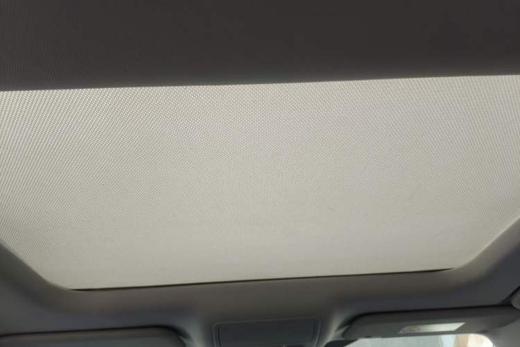 Used Ford Focus 2019 Hatchback EcoBoost 180 Automatic Trendy Model