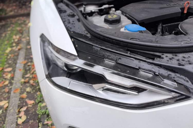 Used Haval F5 2019 National Trend Edition 1.5T i-Type China VI Standard