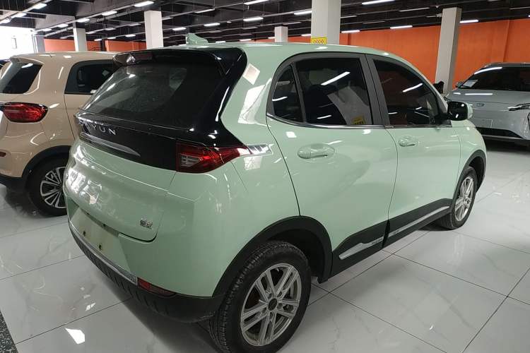 Used Dayun Yuehu 2022 30.66 kWh Two-Wheel Drive Standard Version
