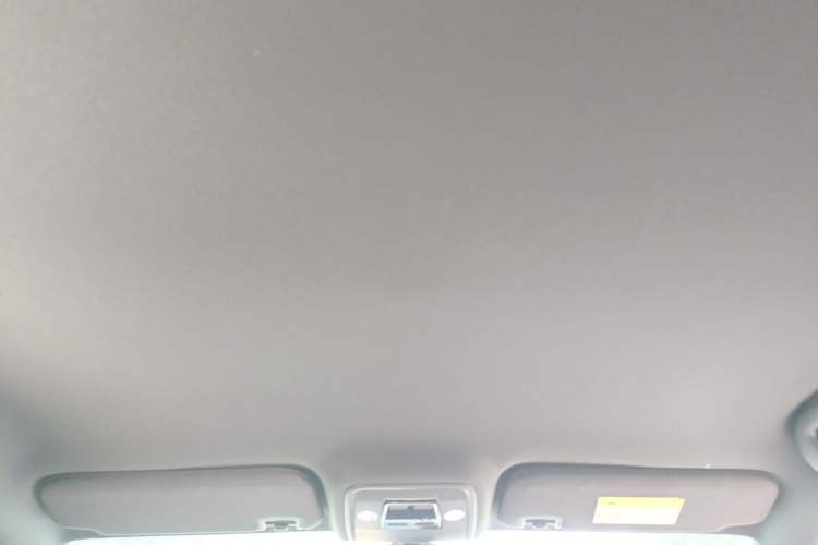 Used BYD Seagull 2025 305 km Free Version Headliner