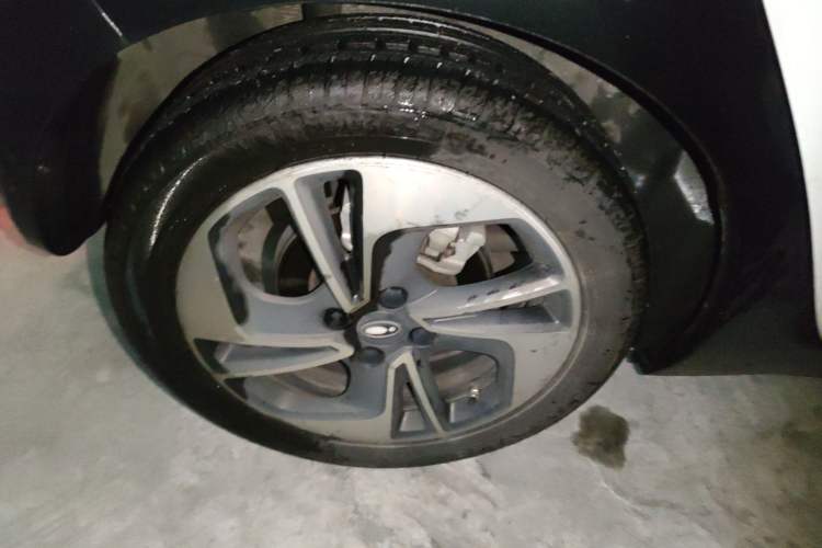 Used ORA Black Cat 2022 351 km Comfort Version Lithium Iron Phosphate Exterior 5