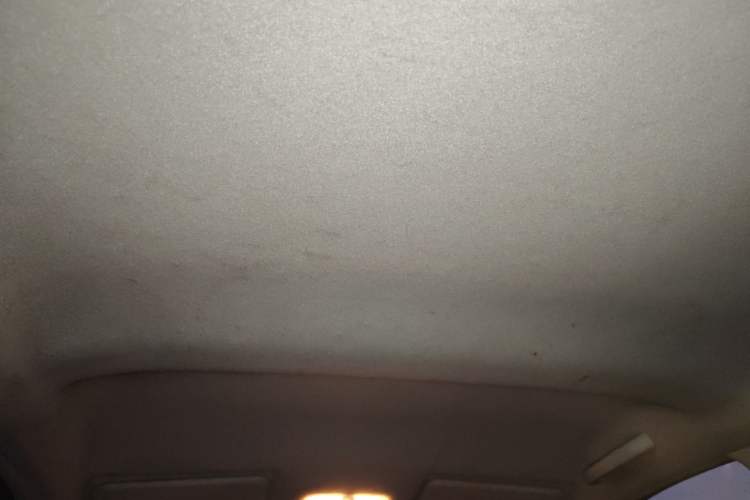 Used Venucia R30 2014 1.2L Manual Luxury Edition Headliner