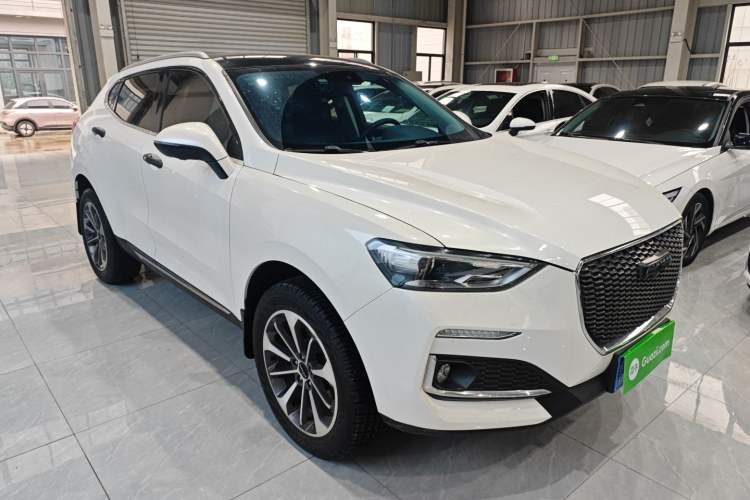 Used Haval F5 2019 National Trend Edition 1.5T i-Trend China VI Standard
