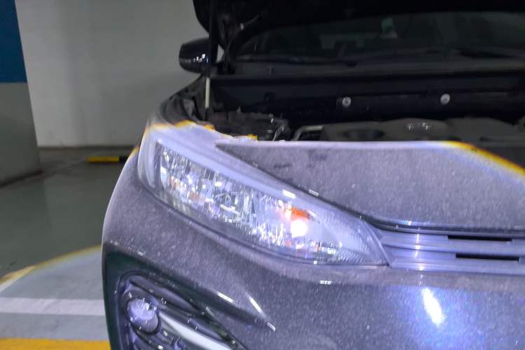 Used Toyota Wildlander 2020 2.0L CVT 4x4 Luxury Edition