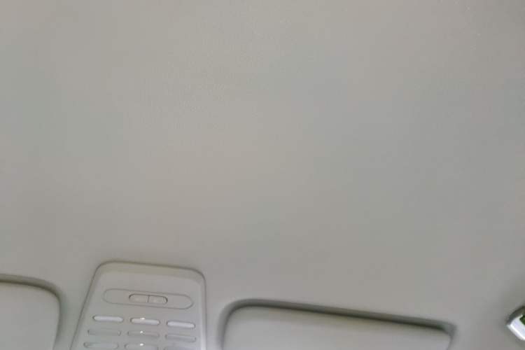 Used Baojun E100 2019 250KM Smart Drive Edition Headliner