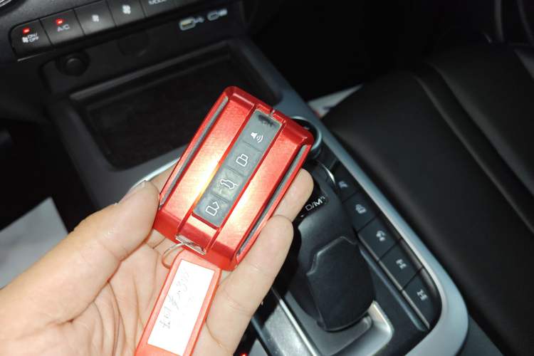 Used Tank 300 2022 2.0T Border Limited Edition Vehicle Key