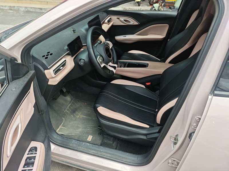Used BYD Seagull 2023 Free Edition — 15