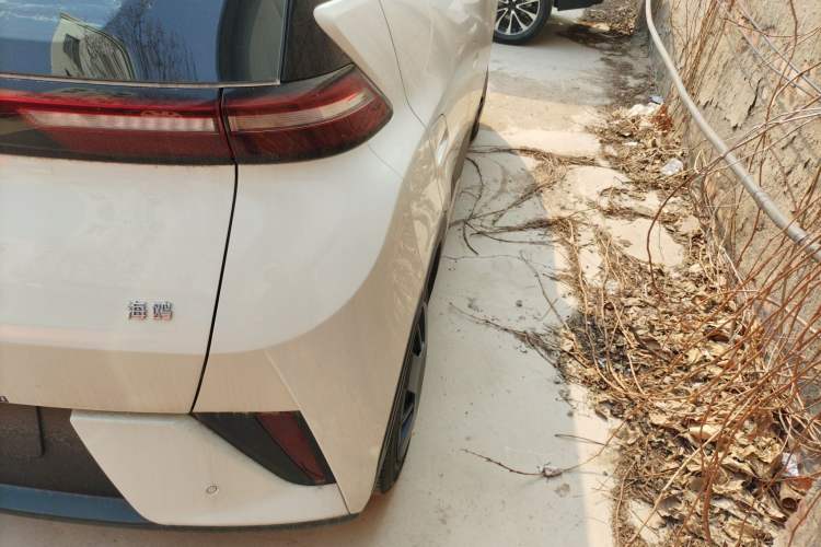 Used BYD Seagull 2025 Intelligent Driving Version 305 km Dynamic Edition