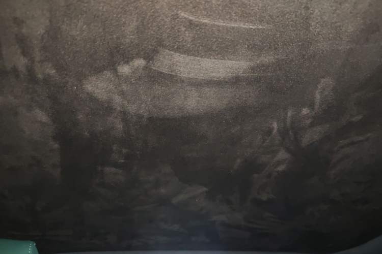 Used Zeekr X 2023 Rear-Drive YOU Edition 4 Seats Headliner