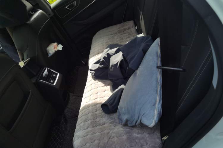 Used Chery Tiggo 8 2019 1.5 TCI Automatic Elite Model Left Rear Seat