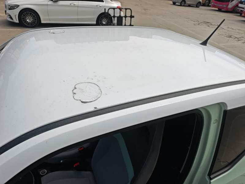 Used Wuling Hongguang MINIEV 2021 Macaron Fashion Model Lithium Iron Phosphate — 26