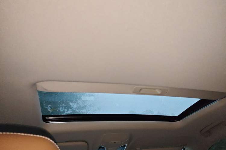 Used SAIC MAXUS D90 2017 2.0T Automatic All-Wheel Drive Sirius Headliner