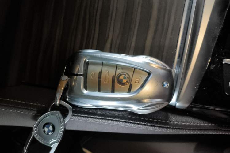 Used BMW 5 Series New Energy 2019 530Le Luxury Package
