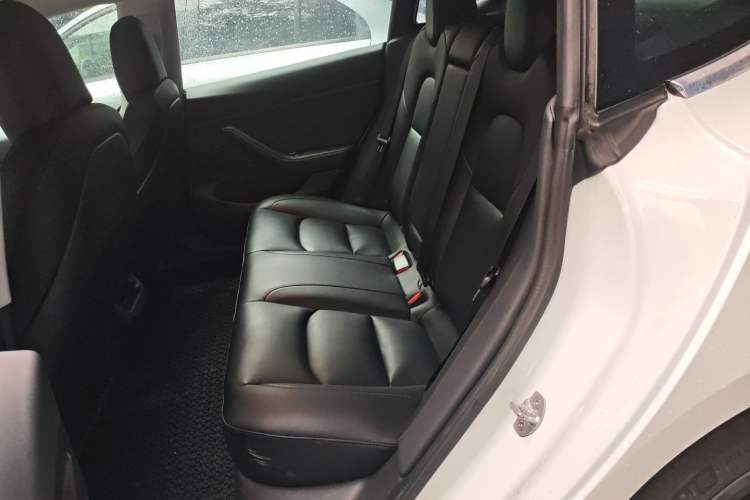 Used Tesla Model 3 2020 Long-Range Rear-Wheel-Drive Version Left Rear Seat