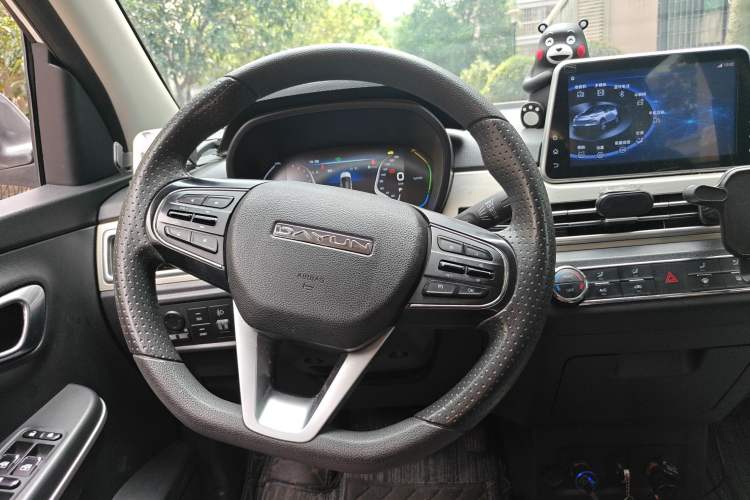 Used Dayun Yuehu 2021 32.85 kWh Two-Wheel-Drive Sprite Version
