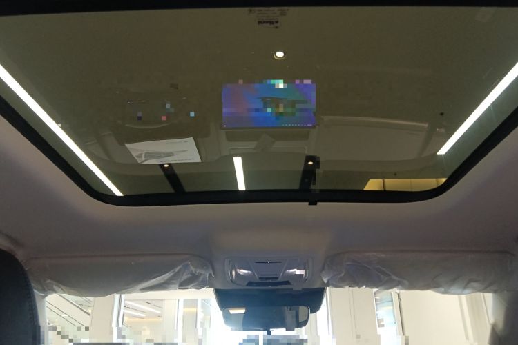 Used Haval Raptor 2025 2.0T 4WD Pro Headliner