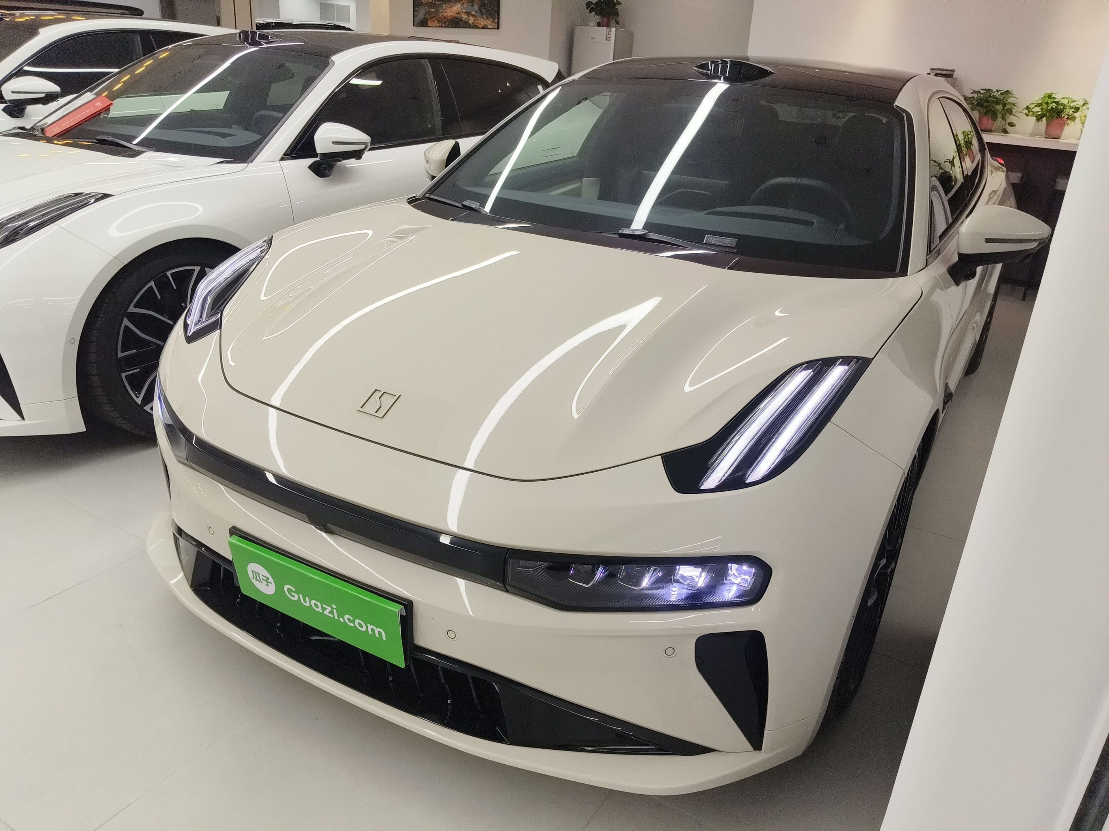 Parte inferior delantera