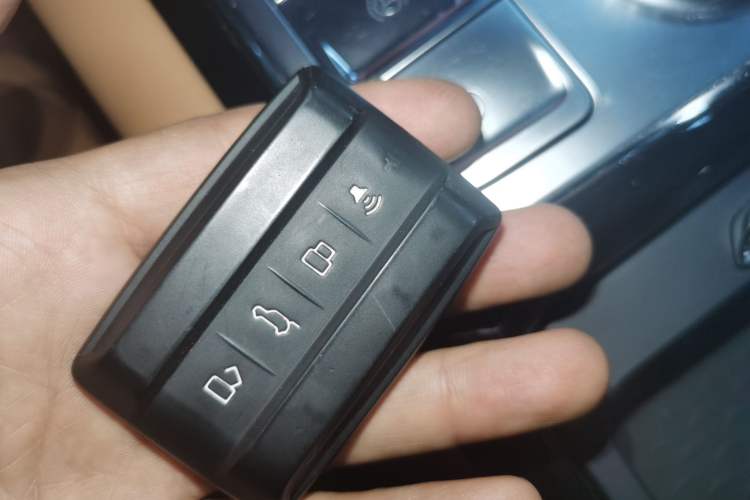 Used Tank 500 New Energy 2024 Hi4-T Vehicle Key