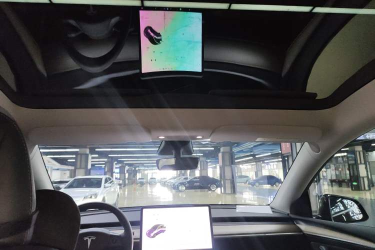 Used Tesla Model Y 2021 Standard Range Rear-Wheel Drive Version
